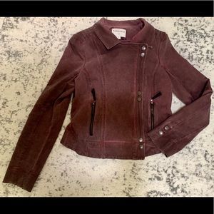 Evereve Marrakech Moto Jacket EUC